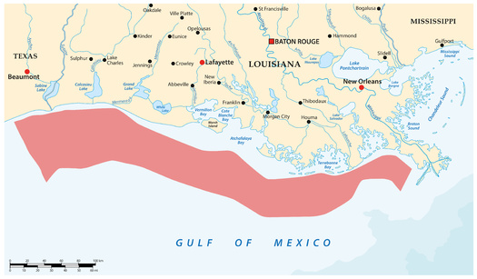 A 2020 estimate found the dead zone in the Gulf of Mexico caused up to $2.4 billion in damages to fisheries and marine habitats each year since 1980. (Adobe Stock)