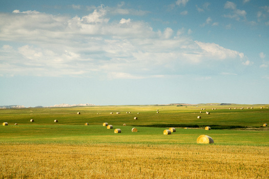 According to the South Dakota Secretary of State, South Dakota's Referred Law 21 was ousted by voters 59% to 41%. (Brent Coulter)