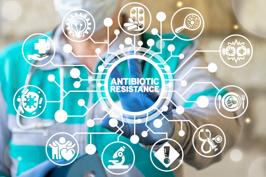 At least 1.2 million people are killed globally from antibiotic-resistant microbes each year. (wladimir1804/Adobe Stock)