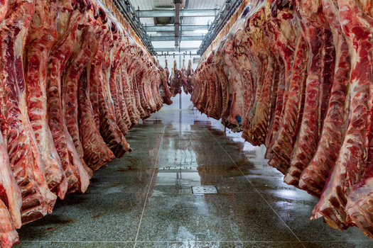 Slaughterhouses can contribute to environmental degradation through toxic runoff and water usage. (Adobe Stock)