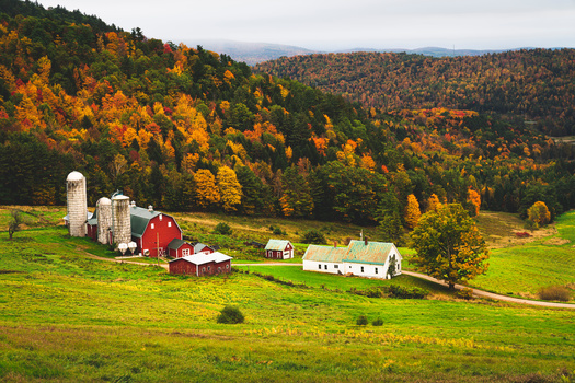 Meadville's Climate Action Plan includes a food project to help local vendors and farmers increase the affordable fresh produce they offer. And a farming incubator will allow residents access to larger plots of land and agricultural training. (Don/Adobed Stock)