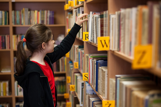Senate Bill 1583, a measure banning book bans in Oregon, may resurface in spring. (Jacek Chabraszewski/Adobe Stock)