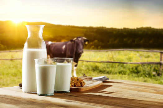 Milk is the only food that makes up an entire food group. (magdal3na/Adobe Stock)