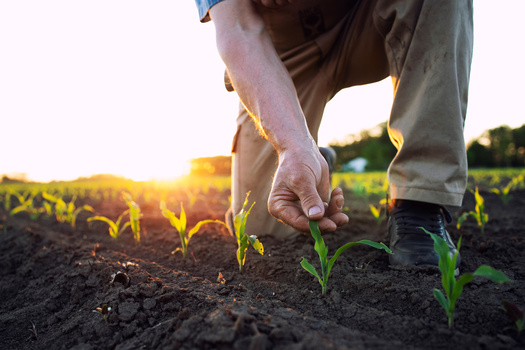 Food insecure research site Feeding America reports nearly 951,000 or 1 in 7 Hoosiers face hunger.(Adobe Stock)