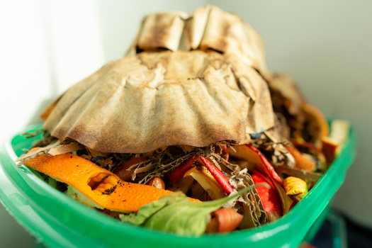 Over 49,000 New Yorkers signed a petition demanding the city restore funding for the composting program after Mayor Eric Adams cut its funding in 2023. (Adobe Stock)