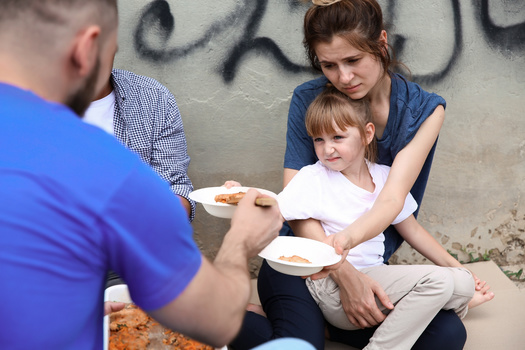 The Northern Illinois Food Bank reports that in 13 counties, 100,000 children are food insecure. (Adobe Stock)