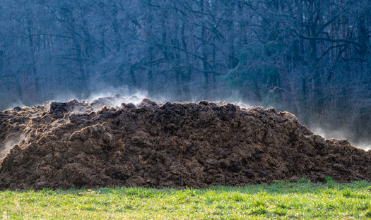 About 30% of agricultural methane emissions stem from manure storage. The other 70% comes from the digestive systems of livestock. (Adobe Stock)