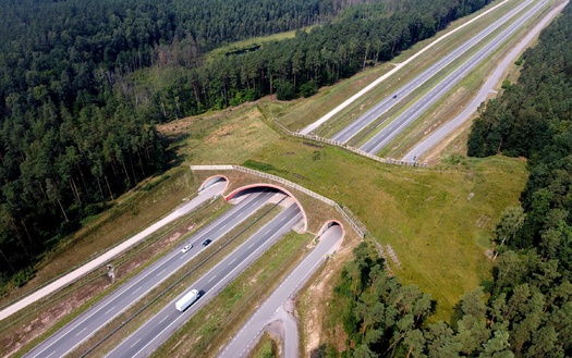 Colorado received $59 million in federal bipartisan Infrastructure Law dollars to help build wildlife crossings along U.S. Highway 160 in La Plata County and $22 million for an overpass on Interstate 25 between Denver and Colorado Springs. (Adobe Stock) Colorado received $59 million federal bipartisan Infrastructure Law dollars to help build wildlife crossings along Highway 160 in La Plata County, and $22 million for an overpass on I-25 between Denver and Colorado Springs. (Adobe Stock)