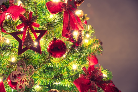 Virginia is one of the top 10 states in the nation for Christmas tree production. (jannoon028/Freepik)