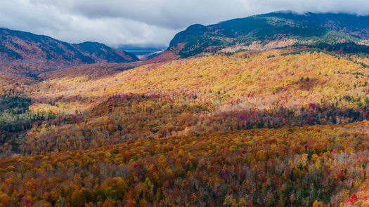 The Hilton Family Forest in Northwestern Maine lies within the Appalachian chain and contains the headwaters of the south branch of the Penobscot River. (Jerry Monkman/Conservation Fund)