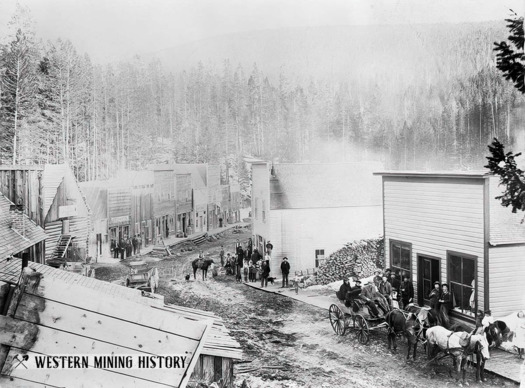 The U.S. Bureau of Land Management claims fire suppression tactics like large-scale logging would cause Garnet Mountains forests to grow back more densely. This 1898 photo of the forest shows it was thick and mature, decades before industrial logging was practiced. (Western Mining History) 