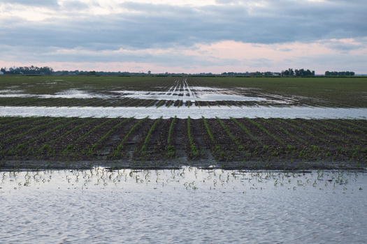 During the June floods in eastern South Dakota this year, the river level at the Big Sioux gauge hit 44.98 feet, breaking the previous record high by 7.28 feet, according to the High Plains Regional Climate Center. (Adobe Stock)