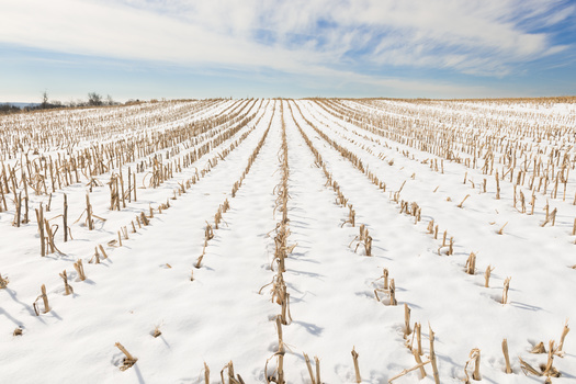 As winter takes hold, Minnesota farmers are getting repairs done on equipment and doing other tasks ahead of the next planting season. Some are also hoping their winter cover crops aid next year's growing with better soil and different types of harvest to sell. (Adobe Stock)