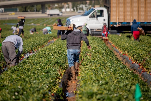 Each year, immigrants add $54 billion to Colorado's economy. (Adobe Stock)
