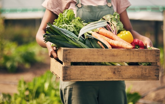 Colorado's Community Food Grants are expected to create economic benefits for local economies, much like SNAP benefits that add $1.50 for every dollar invested. (Adobe Stock)
