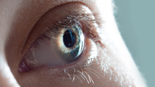 Robert Dickson, medical director for the Washtenaw County Tuberculosis Clinic in Michigan, told KFF Health News the tissue donation regulatory environment is a major public health concern. (Ulia Koltyrina/Adobe Stock)