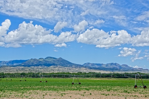 Colorado's San Luis Valley produces two billion pounds of potatoes a year, the second largest yield in the nation. (Adobe Stock)