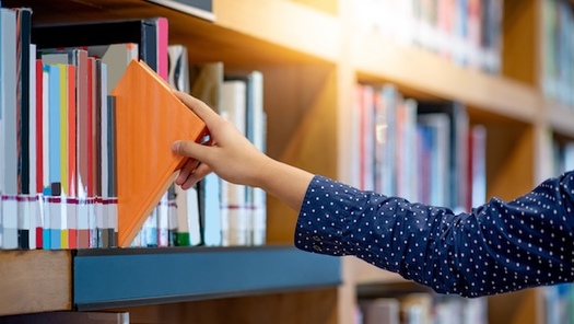 Critics argue Florida's book removals limit access to important information. At the same time, state officials insist they ensure only age-appropriate materials remain in schools, rejecting claims of outright bans as a 