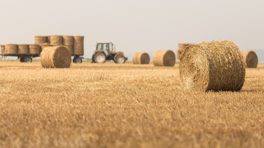 New Hampshire's roughly 4,000 farms support more than 20,000 jobs and provide an economic value of $1.2 billion dollars through direct product sales, labor and agritourism, according to the University of New Hampshire. (Adobe Stock) 