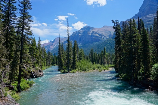 Conservation advocates picked up a dozen seats in the Montana Legislature in the November election, according to Montana Conservation Voters. They remain concerned, however, over losing support at the federal level. (Adobe Stock) 
