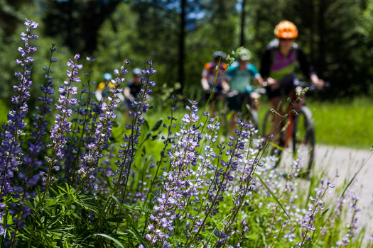 Outdoor recreation supported 5 million jobs in 2023, or 3.1% of employment, according to an analysis from the Outdoor Recreation Roundtable. (Westley/Adobe Stock)