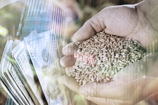 The Farm Bill extension is in effect through Sept. 30, 2025, and includes nearly $31 billion in economic and disaster aid for farmers. (Adobe Stock)