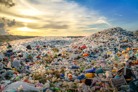 Plastic bottles blanket a landfill. (Aryfahmed/Adobe Stock)