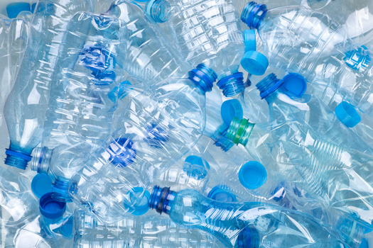 Americans purchase about 50 billion water bottles per year, roughly 13 bottles per month for every person in the country, according to Earthday.org. (Adobe Stock)