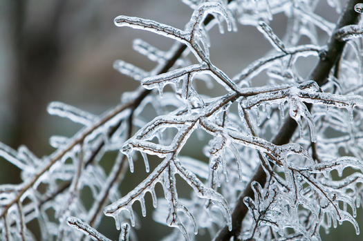 Roads, bridges and overpasses across the state of Texas have been treated with brine in anticipation of a wintry mix this week. (cj2a/Adobe Stock)