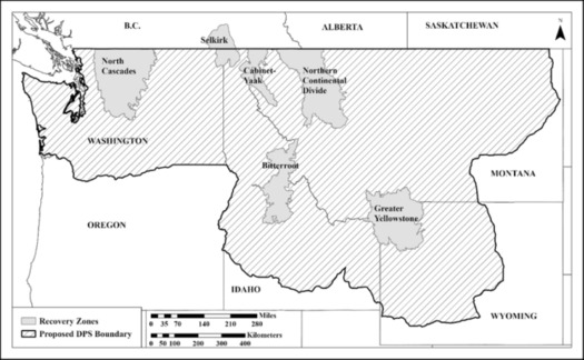 The U.S. Fish and Wildlife Service has proposed a new lower 48 Distinct Population Segment boundary for grizzly bears that receive protections under the Endangered Species Act, connecting and broadening the current isolated recovery zones. (U.S. Fish and Wildlife Service)