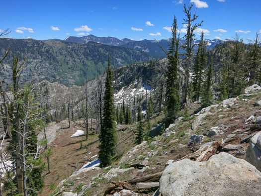 The Stibnite Gold Project is located in the Payette National Forest near the town of Yellow Pine. (David Farnsworth/Adobe Stock)