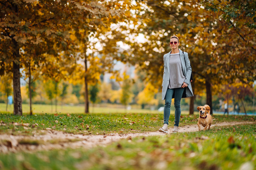 AARP Nebraska's annual Community Challenge grants have funded projects ranging from community paths to traffic-calming installations. (Adobe Stock) 