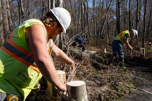 A crew helped Jim Hoffman build beaver dam analogs on his cranberry farm in central Wisconsin. (Jim Hoffman)