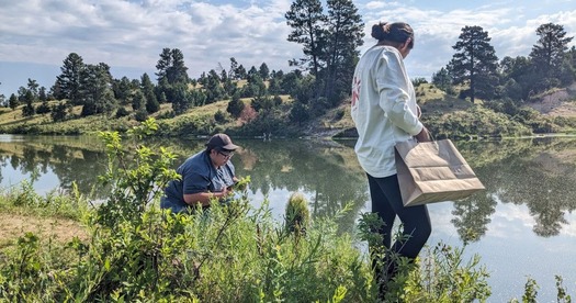 Along South Dakota's Rosebud Reservation, Sicangu Co. members Mayce Low Dog and Karen Moore harvest local plants. (Photo courtesy of Grace Hussain)