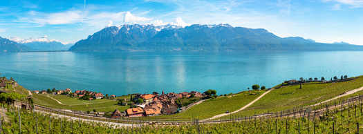 Petitioners for the Delevan Lake Watershed Agricultural Enterprise Area hope to promote water quality to protect local surface water and build relationships between agricultural producers and watershed stakeholders. (Adobe Stock)