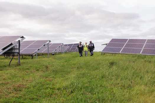 Ohio's clean energy sector has seen significant growth, with clean energy and clean vehicle jobs reaching more than 119,000 in 2023, a 4.4% increase from the previous year. (Oleksii Syrotkin/Stocksy)