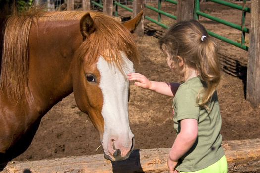 Arizona has the largest difference in the share of children covered by Medicaid/CHIP in small towns and rural areas compared to metro areas, according to the Georgetown University Center for Children and Families. (Beth Van Trees/Adobe Stock)