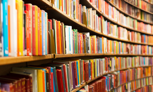 Even in a digital age, advocates for public libraries say branches continue to prove their worth, including online databases for research, as well as free Wi-Fi in areas with broadband gaps. (Adobe Stock)