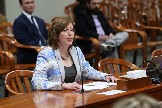 Michigan's new Maternal Health Equity Package laws, authored in part by Rep. Julie Rogers, D-Kalamazoo, further prioritize the health of new parents and their children in a variety of ways, including implementing mental health screenings for new mothers. (Rep. Julie Rogers)