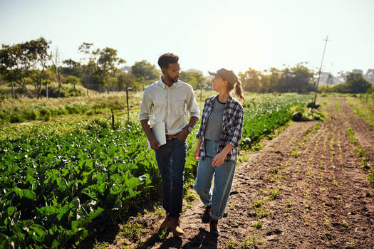 The Climate-Smart Program includes participating farmers from Wisconsin, Iowa, Minnesota and South Dakota. (Adobe Stock)