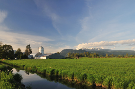 Small streams account for a very small percentage of total surface area, yet a study found they contribute 20% to 30% of total nitrous oxide emissions, making them 