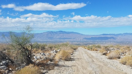 The Bureau of Land Management oversees 15 million acres of public lands in California, including the Fargo Canyon Off Highway Vehicle Area outside Palm Springs. (Tracy Albrecht/BLM)
