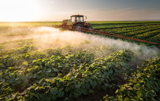 A University of Connecticut study found a growing concentration of certain neonicotinoid pesticides along the state's coast, suggesting potential accumulation and transport of the insecticides.  (Adobe Stock)
