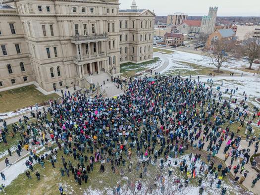 Hundreds of protesters, worried about the barrage of executive orders signed by President Donald Trump, gathered at Michigan's state Capitol Wednesday. Similar demonstrations were held across the country. (Photo courtesy of Kelsey Brianne)
