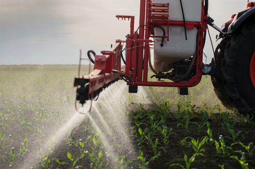 Iowa farmers use at least 54 million pounds of pesticides annually, among the highest amounts in the nation. (Adobe Stock)