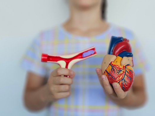 Each year, congenital heart defects are found in about one in 100 births in the United States. (Adobe Stock)