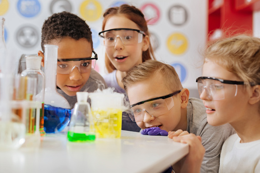 Data show that just under a quarter of California 4th and 8th graders are considered proficient in science. (Viacheslav Yakobchuk/Adobe Stock)