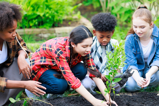 Schools in the Arkansas Farm to School Institute will receive $5,000 to plant a community garden. (NVB Stocker/Adobe Stock)