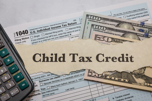 During the pandemic, Congress temporarily expanded the federal Child Tax Credit, with experts noting it helped cut child poverty rates nearly in half. However, a permanent expansion failed to gain traction and states like Minnesota have moved forward with their own credit. (Adobe Stock)