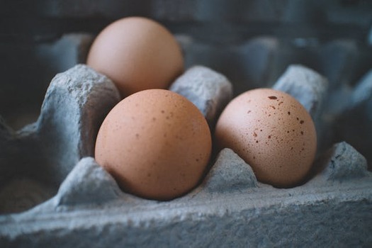 Avian influenza is caused by the same type of virus that causes seasonal influenza in humans. (Pexels)